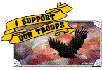 I support our troops.